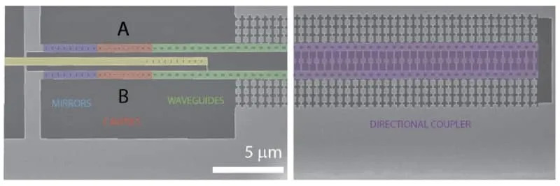 Scanning electron microscope (SEM) images of the fabricated device with false color highlighting of the different parts—the phononic and photonic mirrors (blue), the optomechanical cavities (red), the phononic waveguide (green), and the phononic directional coupler (purple). (CREDIT: Optica Quantum)