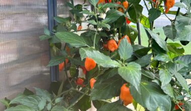 Ich weiß nicht mehr wohin damit.