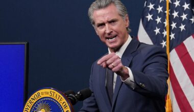 Newsom rejects AI chatbot bill, but approves transparency | Technology