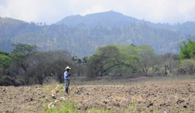 Law, War, and Warming: The New Frontiers of Climate Security