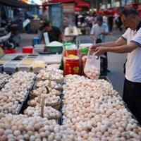 China consumer spending falls as pressure on economy builds |