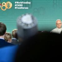 Pope slams 'collective failure' of world hunger affecting millions | National