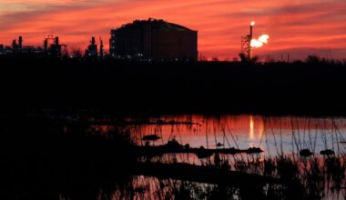Louisiana judge orders review of Gulf Coast liquefied natural gas facility's climate change impacts | Region