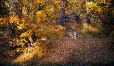 Lithuania Daily Life | National News