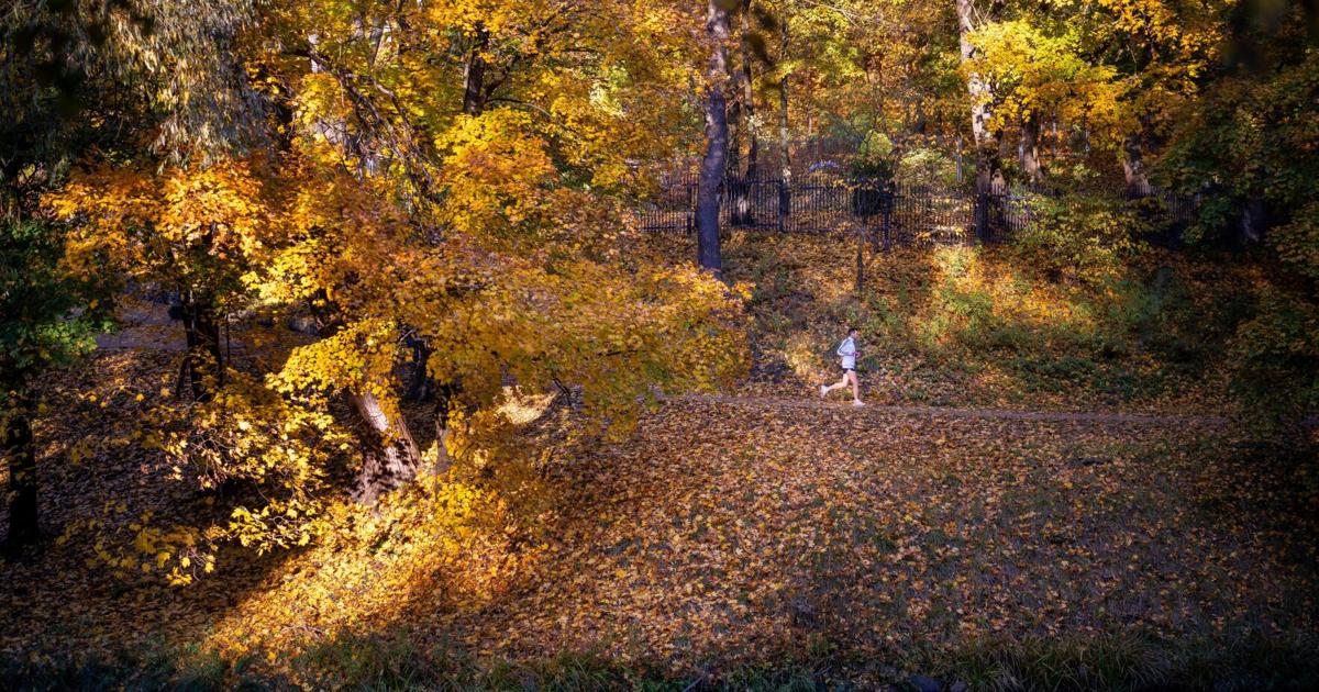 Lithuania Daily Life | National News