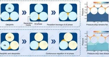 Granular beds with asymmetric wettability enhances migration and separation of petroleum hydrocarbon pollutants