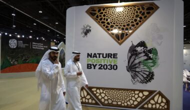 Economic growth and environmental protection are allies, not adversaries