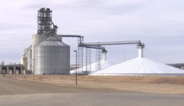 Soybean farmers look for storage, buyers during trade war