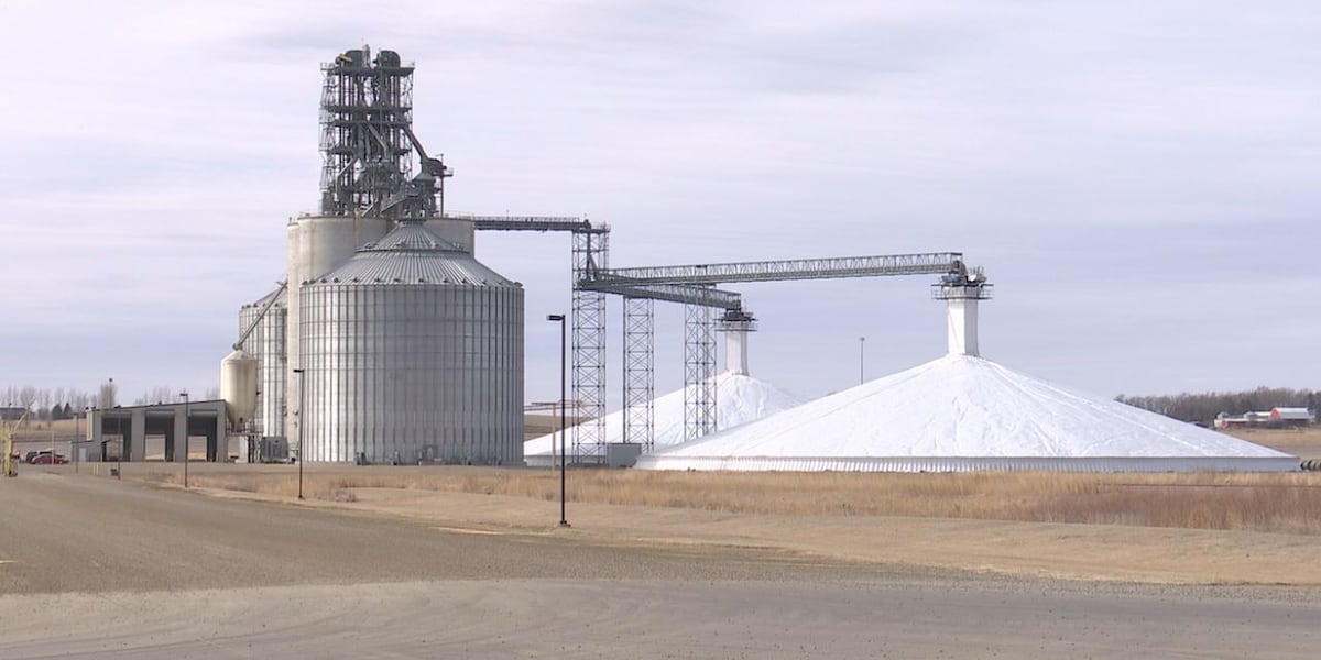 Soybean farmers look for storage, buyers during trade war
