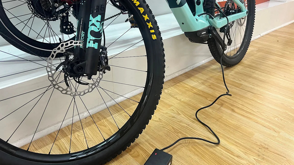 Environment President wants to lower e-bike age
