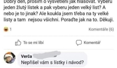 Zase něco k těm volbám