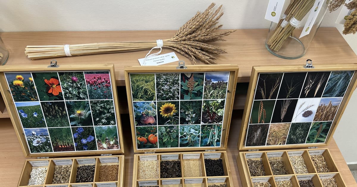 From peas to barley - Czechia adds 150 seed samples to the Svalbard Global Seed Vault