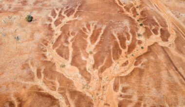 Climate change could make it dangerous for humans to go outside – we must act. There are parts of the world in which people won't be able to cool by sweating if this trajectory continues.