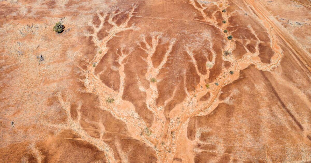 Climate change could make it dangerous for humans to go outside – we must act. There are parts of the world in which people won't be able to cool by sweating if this trajectory continues.