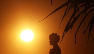 Records (46.1 C)  tumble as heatwave sweeps Australian state. “These are typically temperatures that we would only see in a summer heatwave, but it’s still spring.”