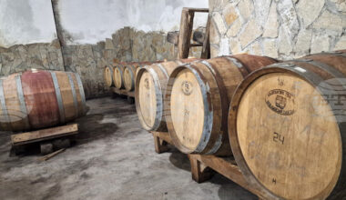Bulgarian Wine Tradition Preserved Through Local Grapes, Oak Barrels