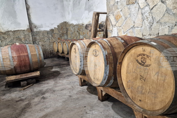 Bulgarian Wine Tradition Preserved Through Local Grapes, Oak Barrels