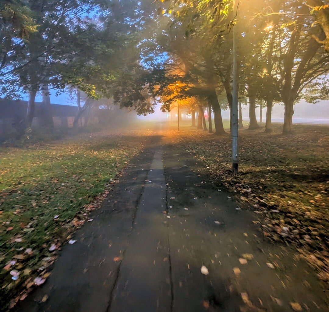 Who else loves a foggy morning?
