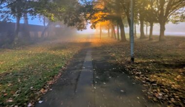 Who else loves a foggy morning?