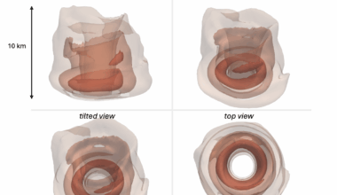 Hurricane Melissa Wind Speed [OC]