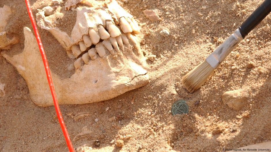 DNA reveals hidden killer of Napoleon’s troops in Russia – DW – 10/24/2025