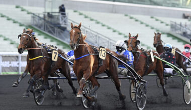 Norskeid vinner på Vincennes / Sensasjonshingst med bare ett avkom i Norge