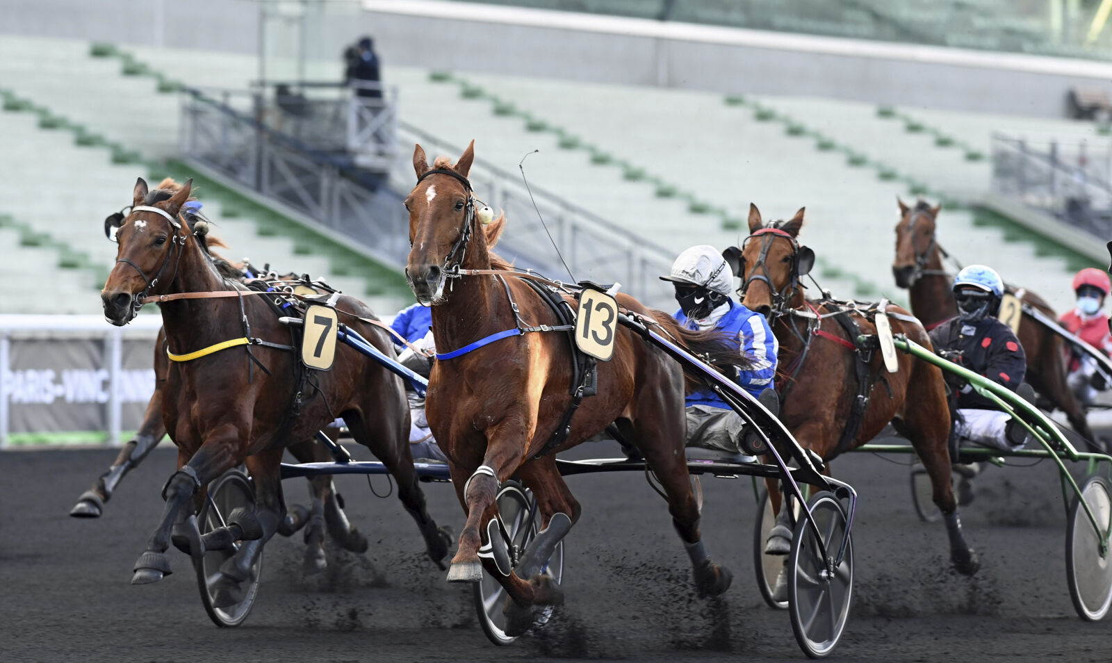 Norskeid vinner på Vincennes / Sensasjonshingst med bare ett avkom i Norge