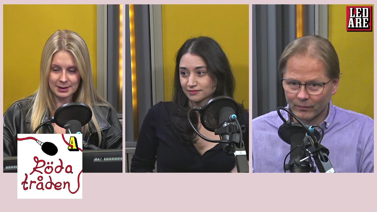 SD och L ljuger om regeringsfrågan