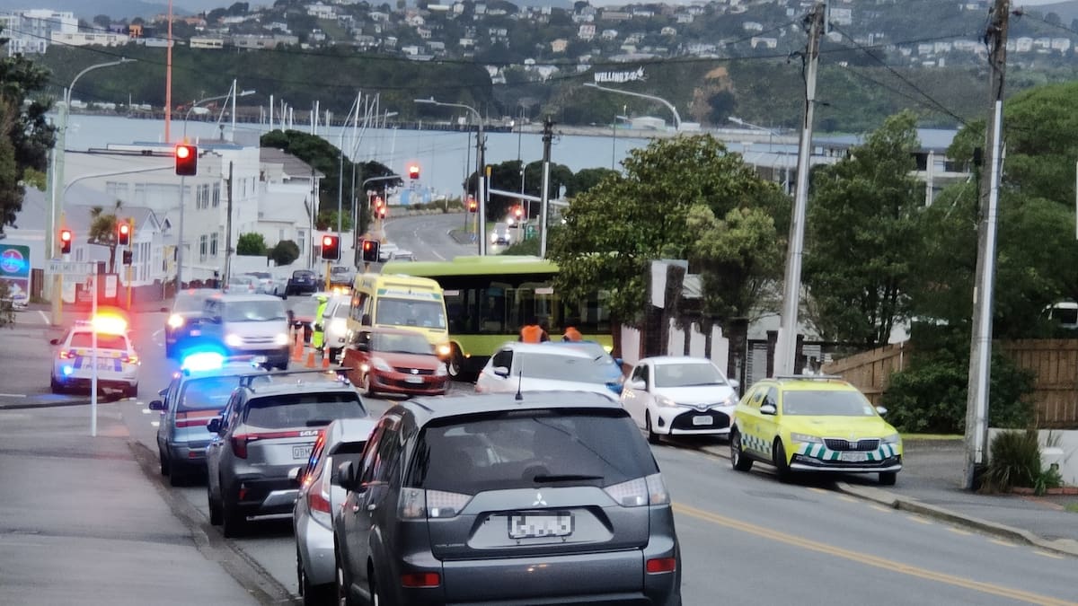 Bus crashes off SH1 near Hataitai, Wellington; southbound lane closed with detour in place