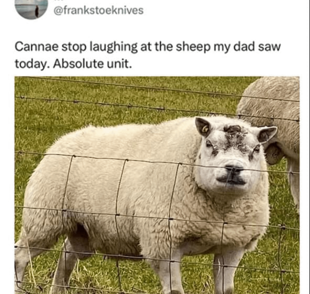 Name this beast 😜