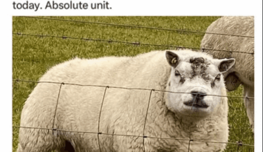 Name this beast 😜