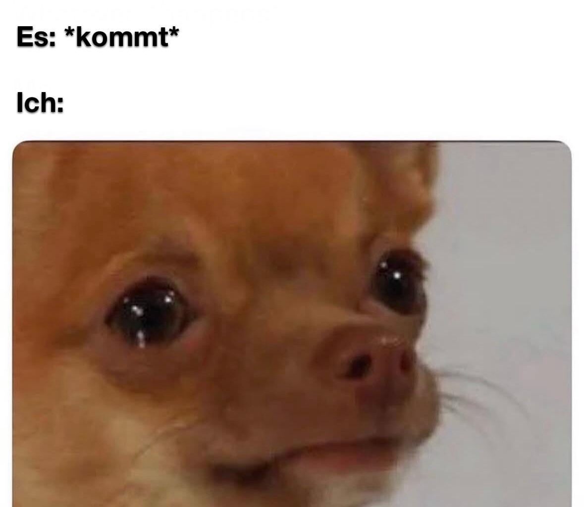 Ich🥲iel