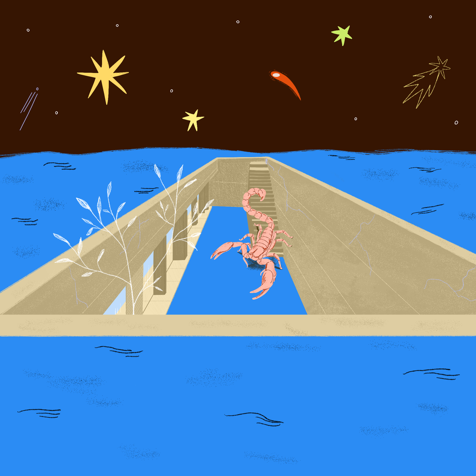 oroscopo di novembre 2025