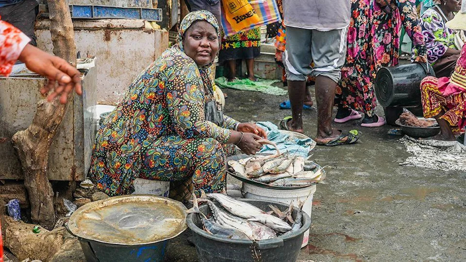 A woman in colourful printed clothes sites by bucketfuls of fish in a market.