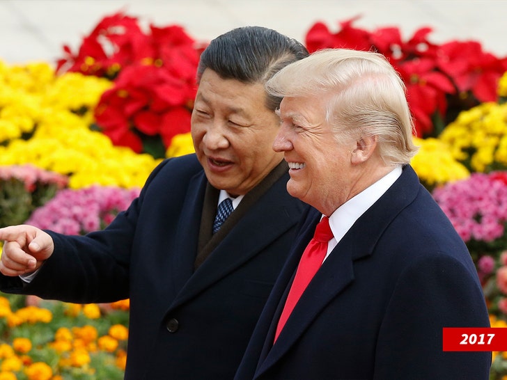 donald trump and President Xi Jinping getty 1