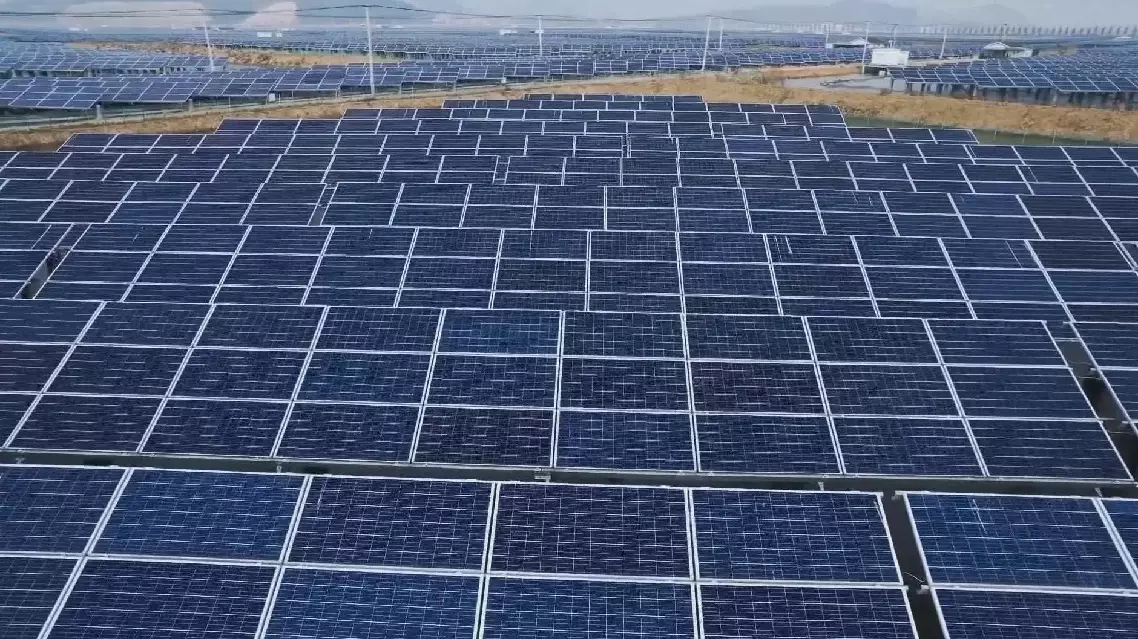 UN environment chief hails China's 'massive' achievements in green, low-carbon development