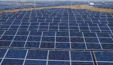 UN environment chief hails China's 'massive' achievements in green, low-carbon development