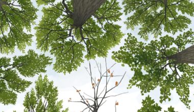 It's hard to be a maple: How climate change is remaking D.C.'s treescape | Decisions being made now about what trees to plant in place of dying ones will change how the city looks and feels.