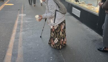 Také Vás štvou žebrácké gangy, které otravují & obtěžují na ulicích? Je možné to řešit?