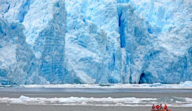 Breakthrough Institute’s Ted Nordhaus warns global warming is real, but the ‘catastrophism’ pushed by activists misrepresents the science