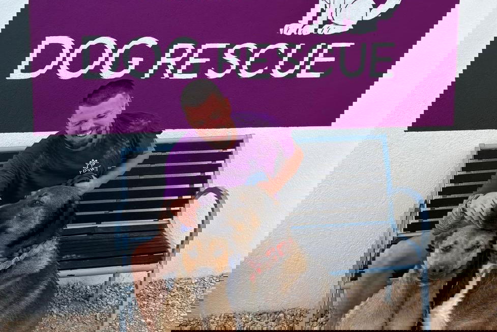 From Denmark to Spain for elderly dogs « Euro Weekly News