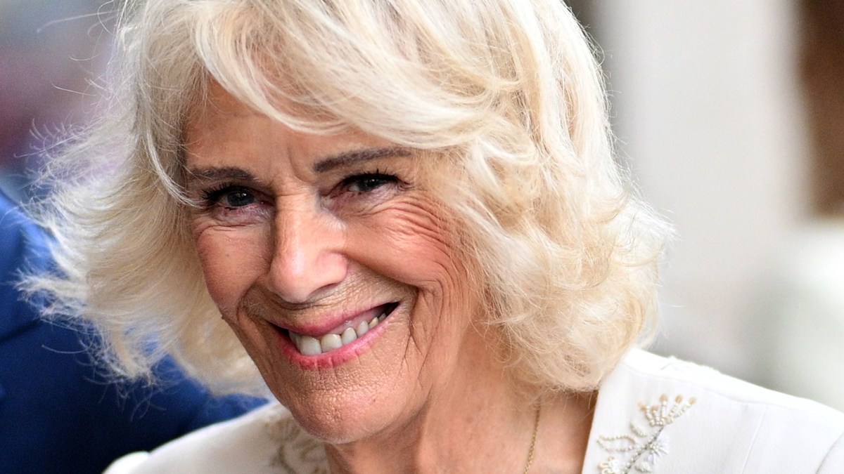 Queen Camilla just wore a modern version of her wedding dress in Rome - and nobody noticed
