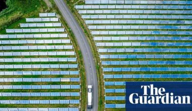 Global renewable energy generation surpasses coal for first time | Record solar expansion and steady wind growth driving world’s shift away from fossil fuels in 2025, report finds