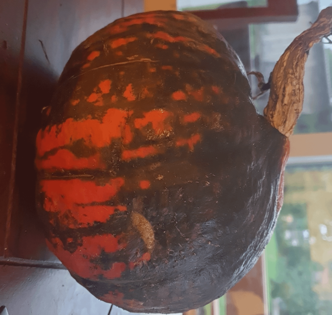 Hokkaido seltsam verfärbt