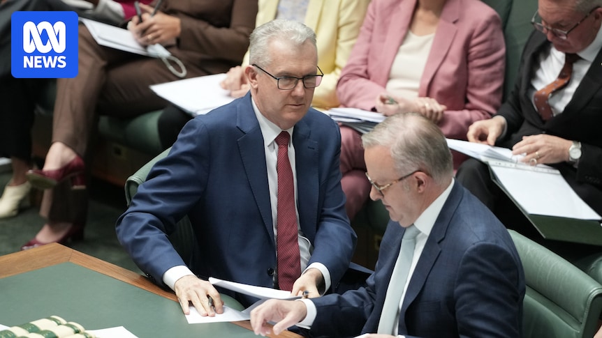 Tony Burke suddenly keen to answer questions about Islamic State relatives