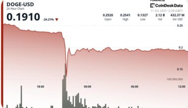 Dogecoin Suffers 50% Flash Crash