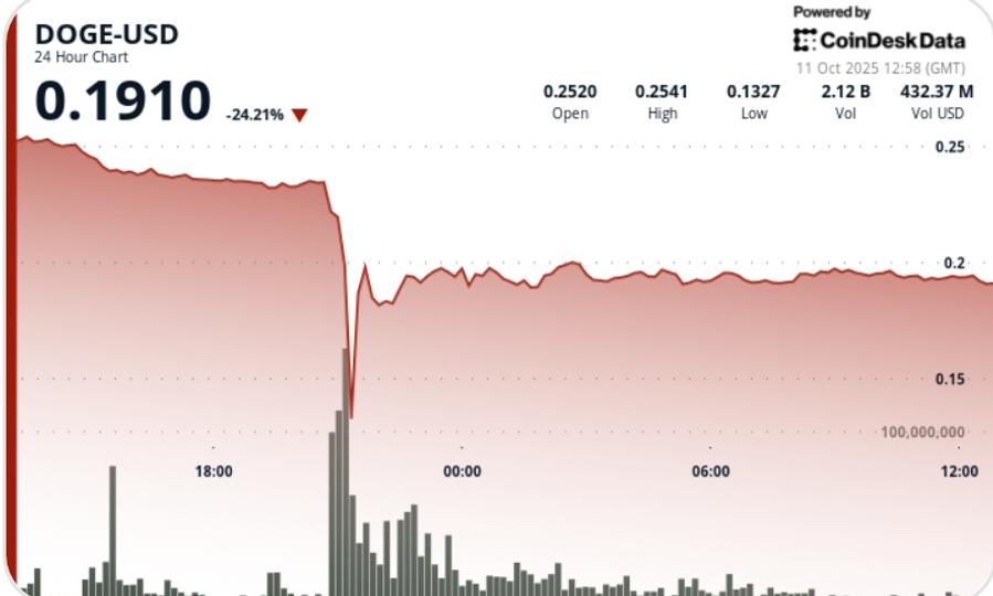 Dogecoin Suffers 50% Flash Crash