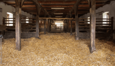 J'ai perdu mes chevaux. C'est grave ?