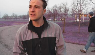 Wieso sind das Gras und die Bäume lila?