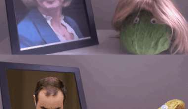 À quelque part entre tartine et crouton pour la soupe